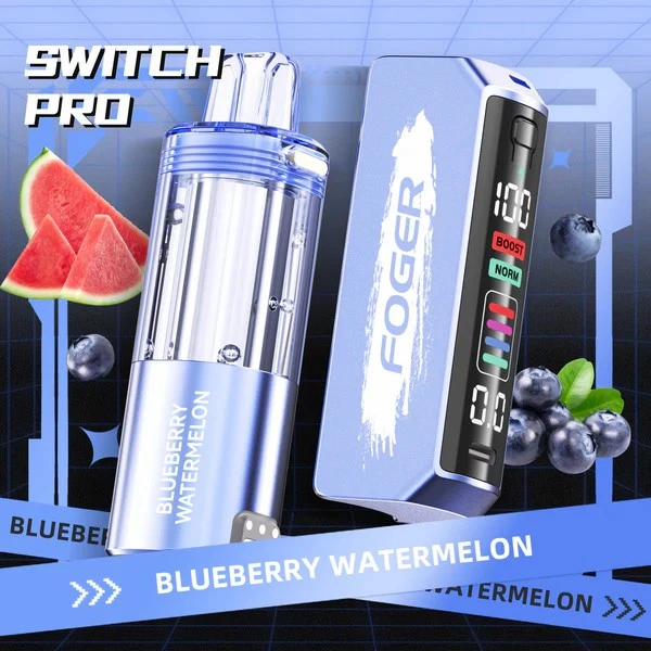 Foger Switch Pro 키트