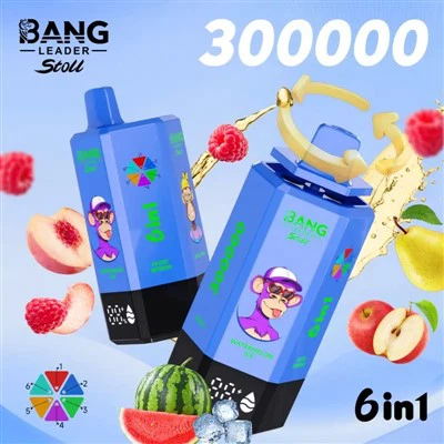 뱅 리더 300k 퍼프